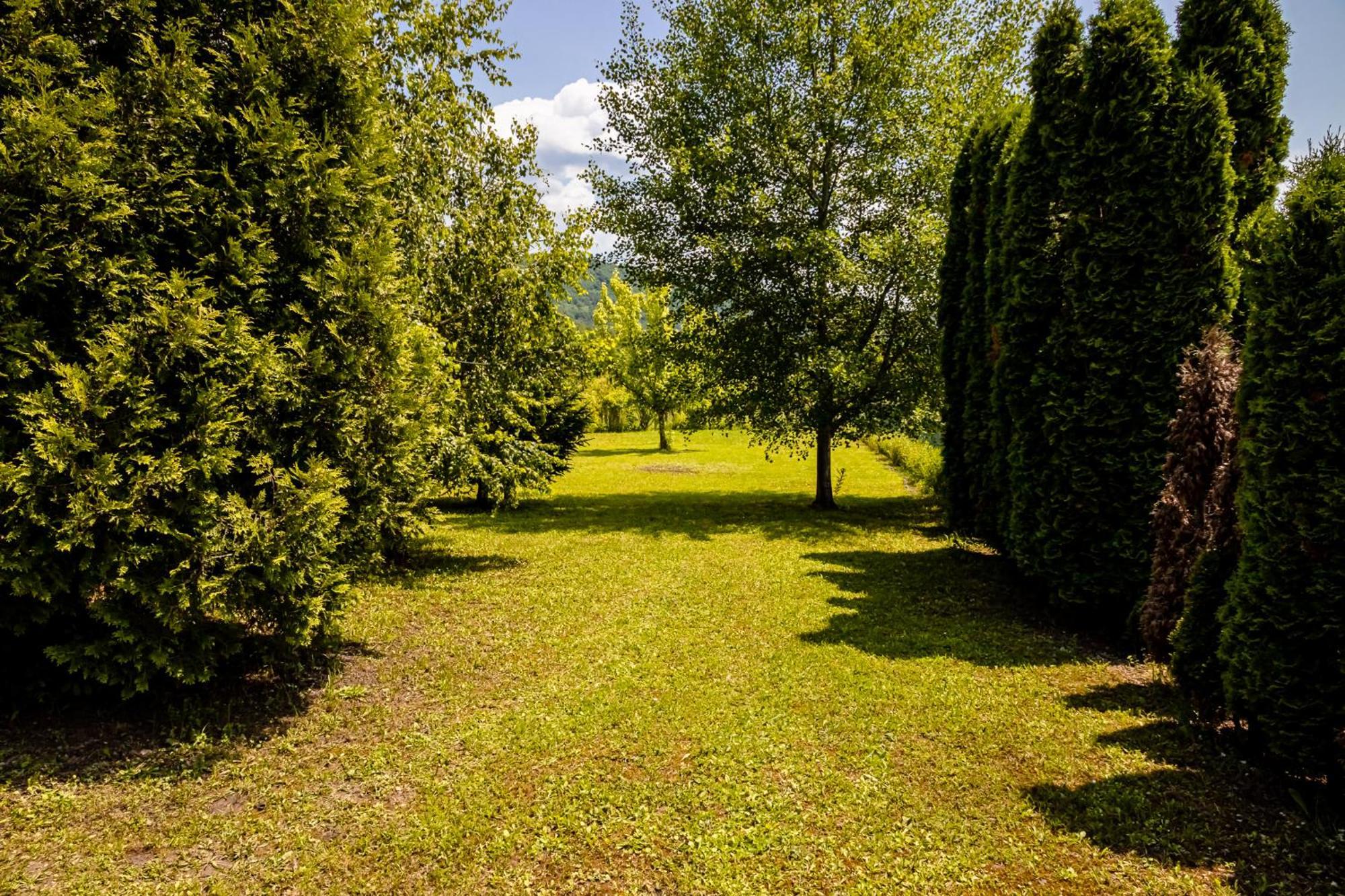 Holiday Home Avita Bihac Bagian luar foto